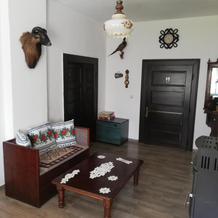 Гостевой дом Casa Din Barcut Экстерьер фото