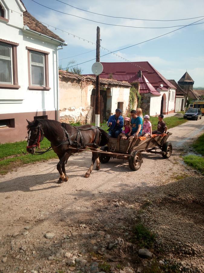 Гостевой дом Casa Din Barcut Экстерьер фото