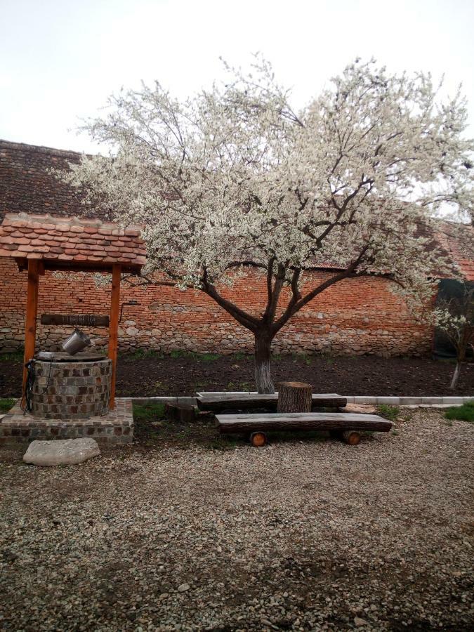 Гостевой дом Casa Din Barcut Экстерьер фото